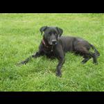 Additional image 17 of 3 Bed Semi-Detached House, Derwent Avenue, OX3, N1 7GU